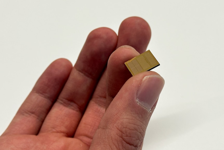 a microchip held between two fingers