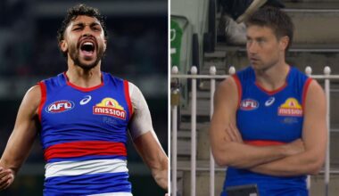 AFL Finals 2026: Western Bulldogs player ratings from Wildcard Final vs Collingwood Magpies, analysis, stats, best and worst players