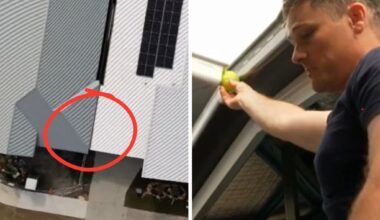 ‘Can’t fit a tennis ball’: Family fumes over new build