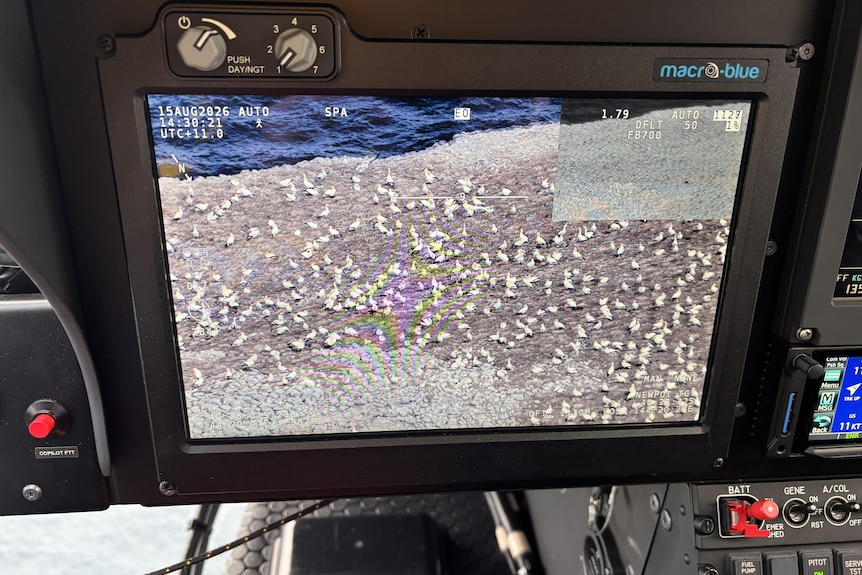 Aerial surveillance in Tasmania during the spread of H5N1 bird flu across Australia.