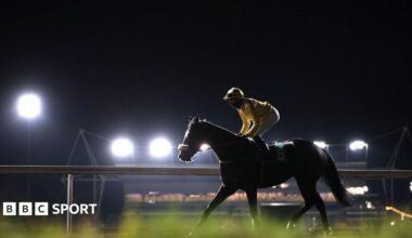 A racehorse at a darkened Kempton