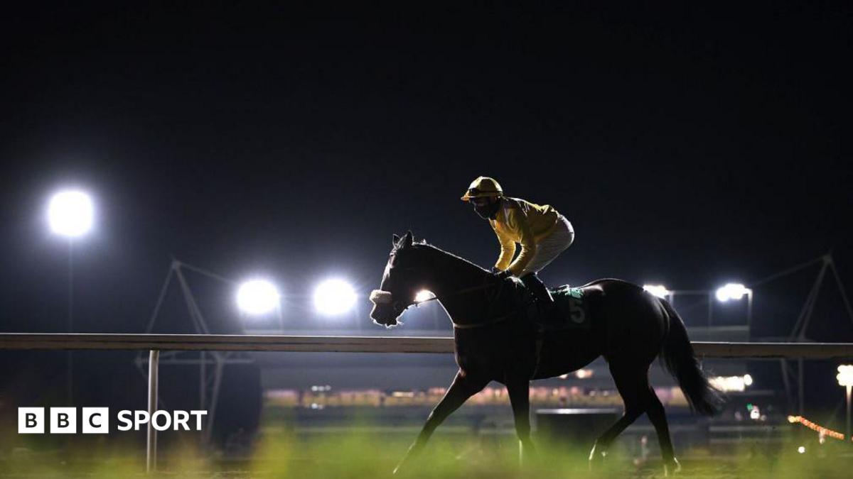 A racehorse at a darkened Kempton