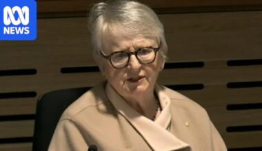 Royal commissioner denies pro-Palestinian groups tried to 'hijack' antisemitism inquiry
