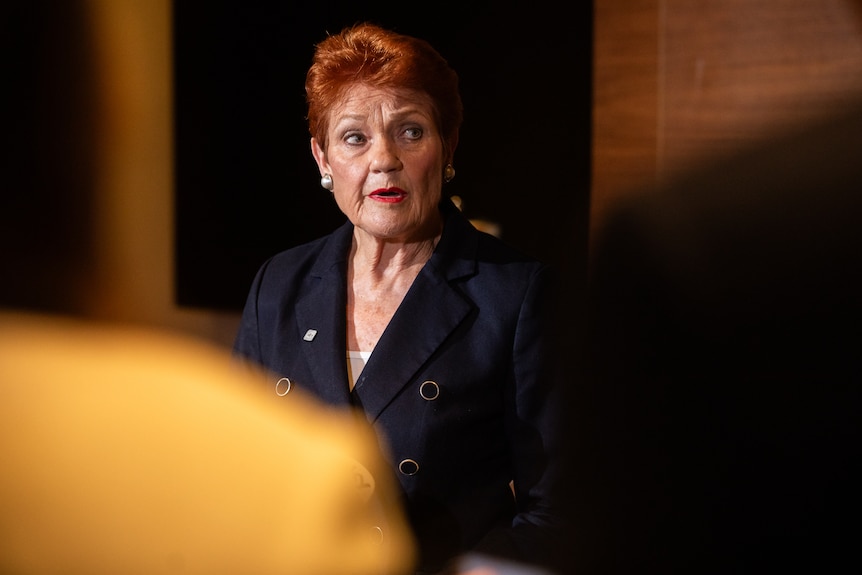 Pauline Hanson at a press conference.