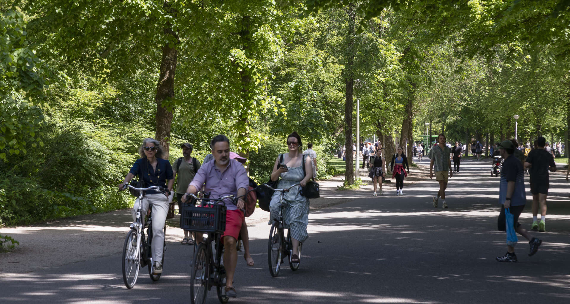 People riding bicycles and walking along a tree-lined path in a park.