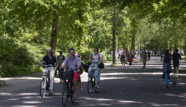 People riding bicycles and walking along a tree-lined path in a park.