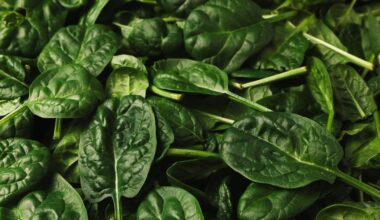 20 Keto-Friendly Vegetables That Are Low in Carbs