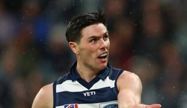 North Melbourne vs Geelong Cats LIVE: AFL round 23 2026, scores, results, odds, stats and start time from Marvel Stadium