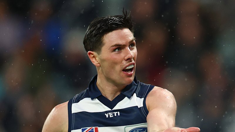 North Melbourne vs Geelong Cats LIVE: AFL round 23 2026, scores, results, odds, stats and start time from Marvel Stadium