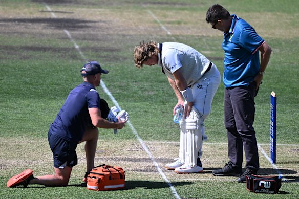 In trouble: Will Pucovski was hit on the helmet while batting for Victoria  in 2024 – the 12th time he was diagnosed with concussion.