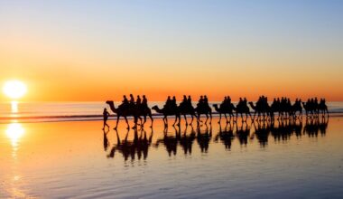 Perth and WA holidaymakers in major travel bonanza as Qantas slashes airfares