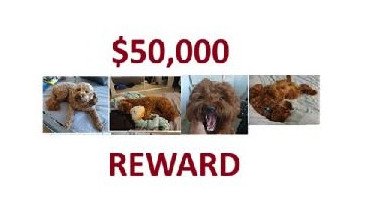 A reward of $50,000 has been offered to find Franklin.