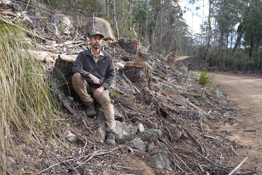 A man sits on a side bank in a forest, near some tree stumps.