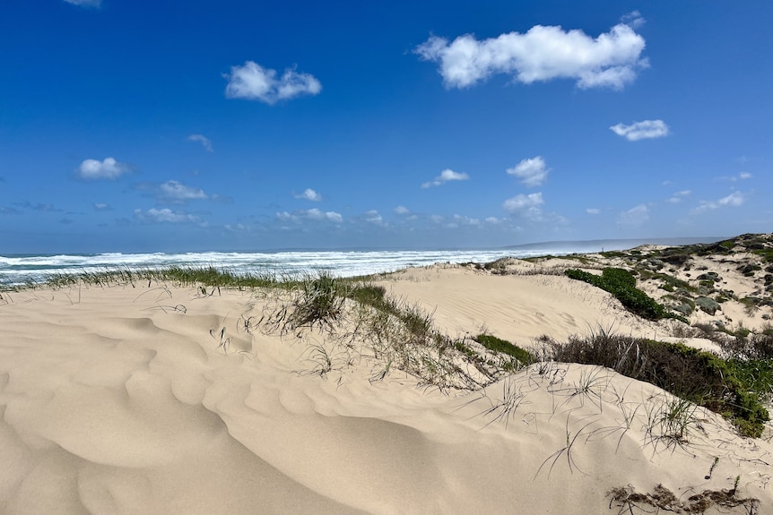 Dunes at a beach