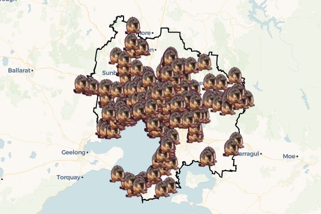 Rakali spottings on Melbourne map, which is totally crowded out.