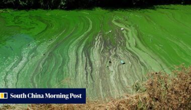 China makes officials liable for environmental damage for life