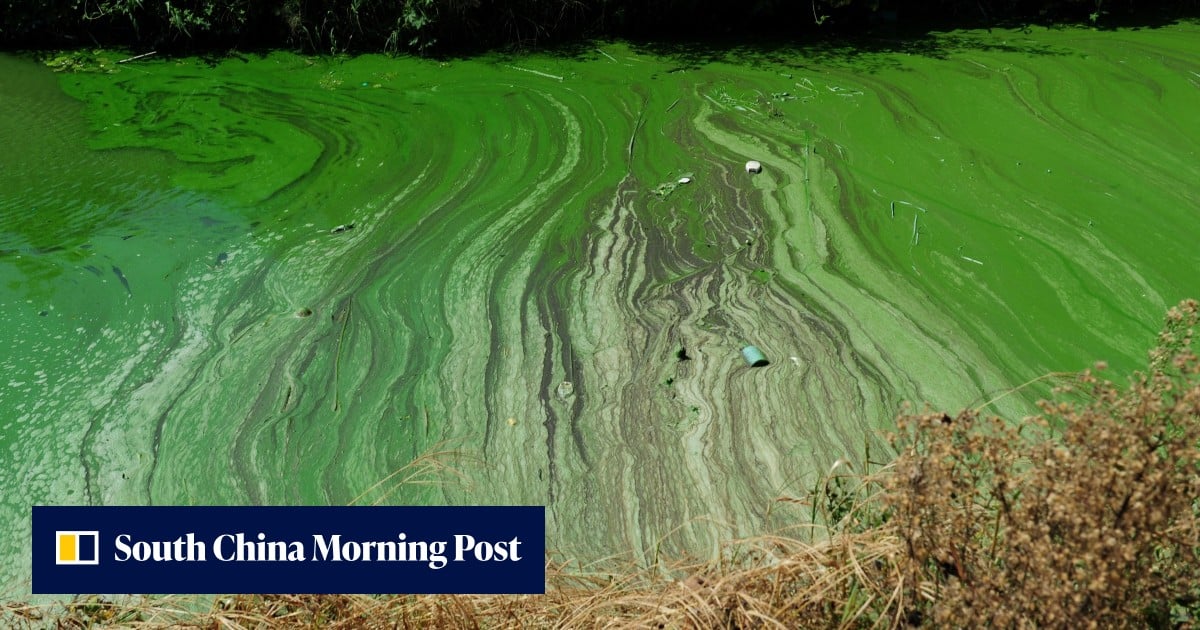 China makes officials liable for environmental damage for life