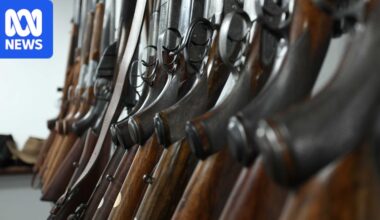 NSW gun buyback scheme to reduce number of firearms after Bondi terror attack