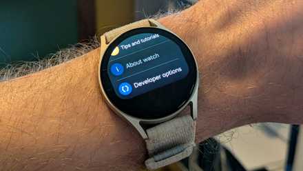 Developer options on Galaxy Watch