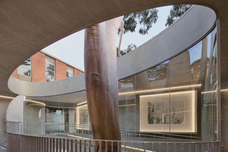 Gallery for a Tree by Farrell Wray