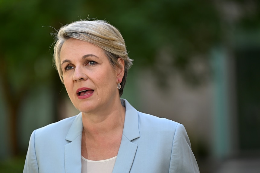 A blonde woman wearing a pale blue suit jacket, speaking.