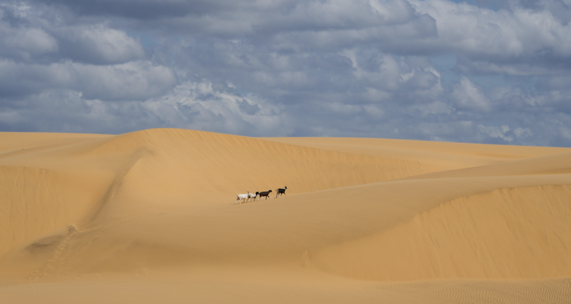 Study: Global sand dunes map reveals clues to climate, Mars