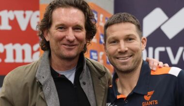 Hire me, and get these guns too: Hird’s bombshell Bombers pitch revealed... with a trade sweetener