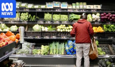 Coles and Woolworths test facial recognition technology