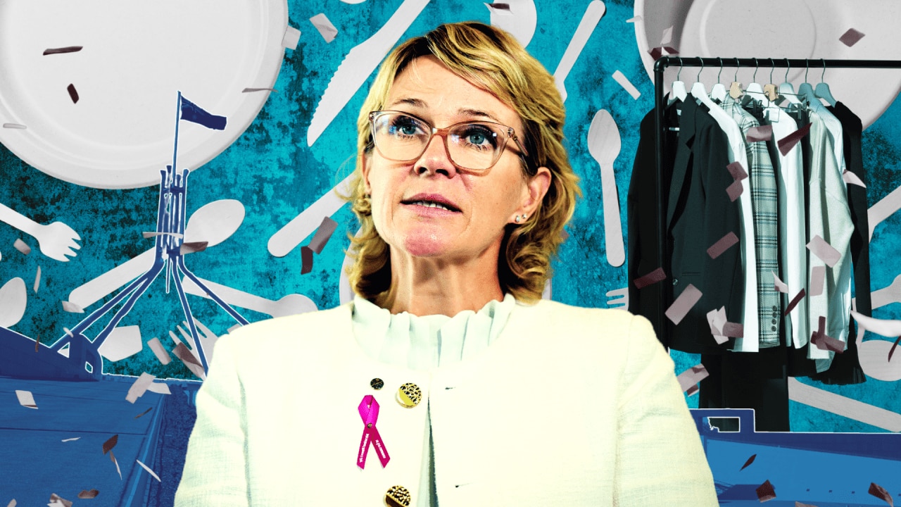 'I'm not perfect': Teal MP Zali Steggall caught breaking her own climate rules after $199,000 printing and comms spend
