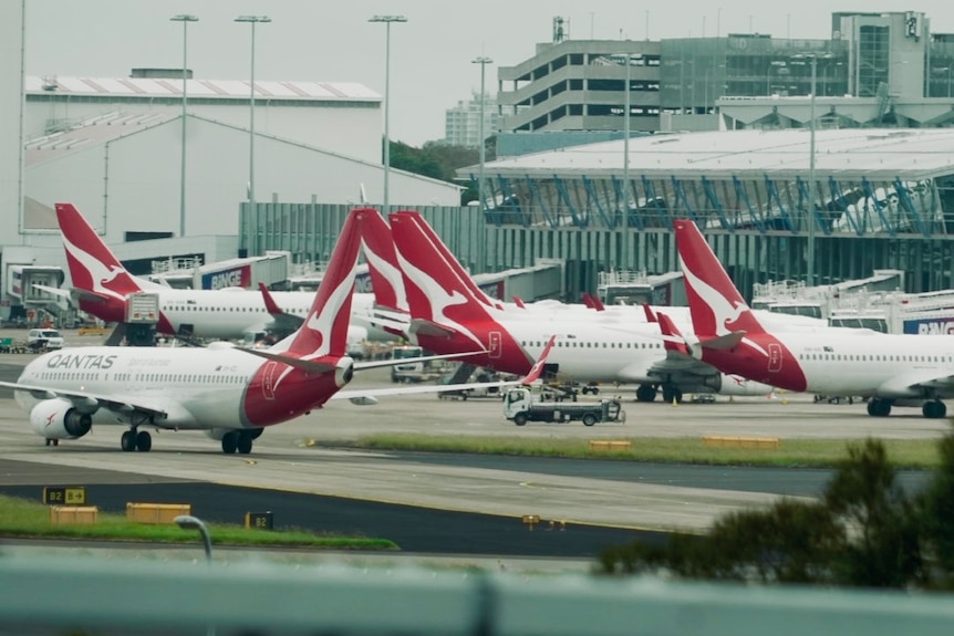 Qantas planes on a tarmac at an airport.