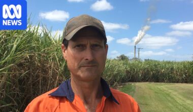 Gold Coast canefarmers 'devastated' after sugar mill terminates contract