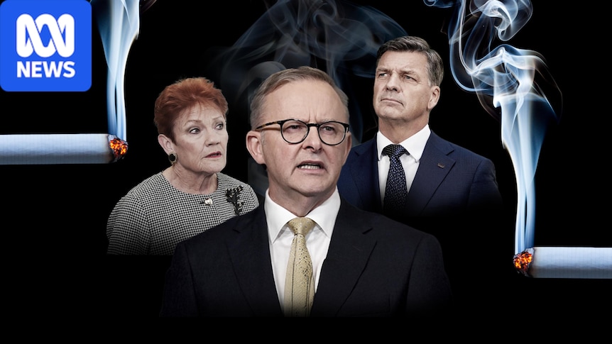 Australia made cigarettes expensive to stop people smoking. Did it go too far?
