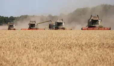 Combines harvesting wheat in a field in Ukraine’s Kharkiv region on Aug 3, amid Russia’s invasion of Ukraine.