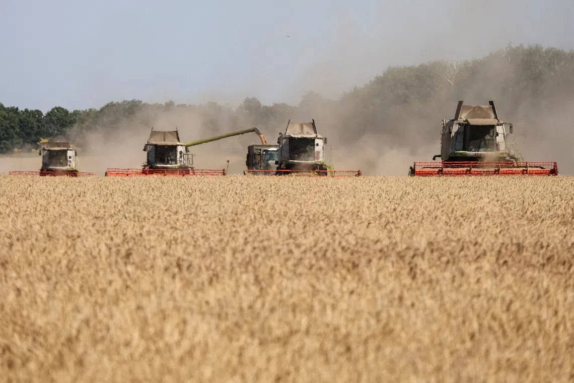 Combines harvesting wheat in a field in Ukraine’s Kharkiv region on Aug 3, amid Russia’s invasion of Ukraine.