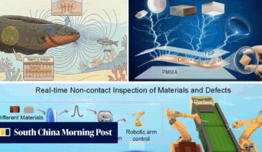 China’s ‘electric eel’ sensor allows robots to feel an object without touching it