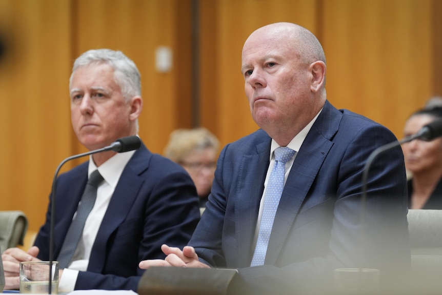 Two middle-aged men wearing suits and ties sit in a parliamentary hearing room.