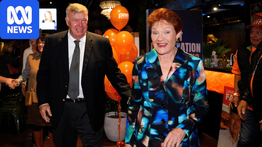 Hanson intervenes after One Nation MP says migration plan 'not too different' to Labor