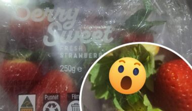 Spider found alive and crawling inside a punnet of strawberries sold at Coles Geraldton