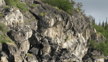 It's only the size of 4 tennis courts… yet it could be the oldest place on Earth and home to some of the world's most formidable apex predators