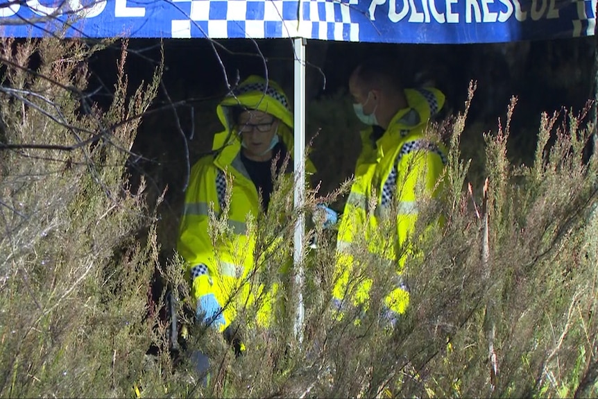 Police in hi-vis yellow raincoat in dense scrub under a tent.