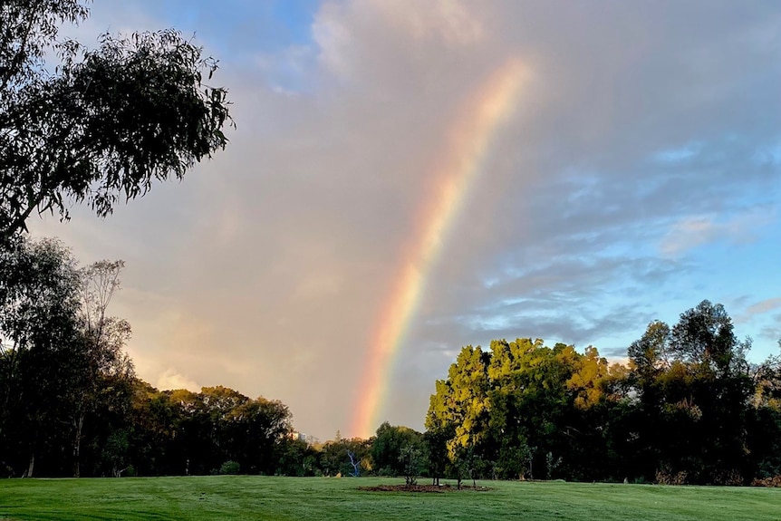 A rainbow splits the sky over lush green grass