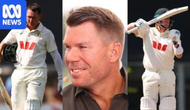 Test cricket quick hits: Steve Smith's horror drop, Josh Hazlewood's milestone and Marnus Labuschagne jinxed