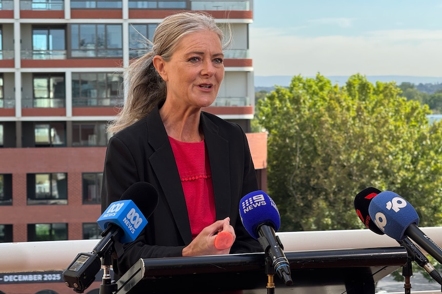 A woman with long grey hair pulled back in a pony tail wearing a black jacket and red top stands behind microphones.