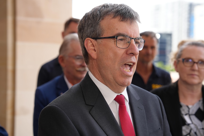 Dave Kelly wears a suit jacket and tie, and is speaking to the media outside parliament in Perth.