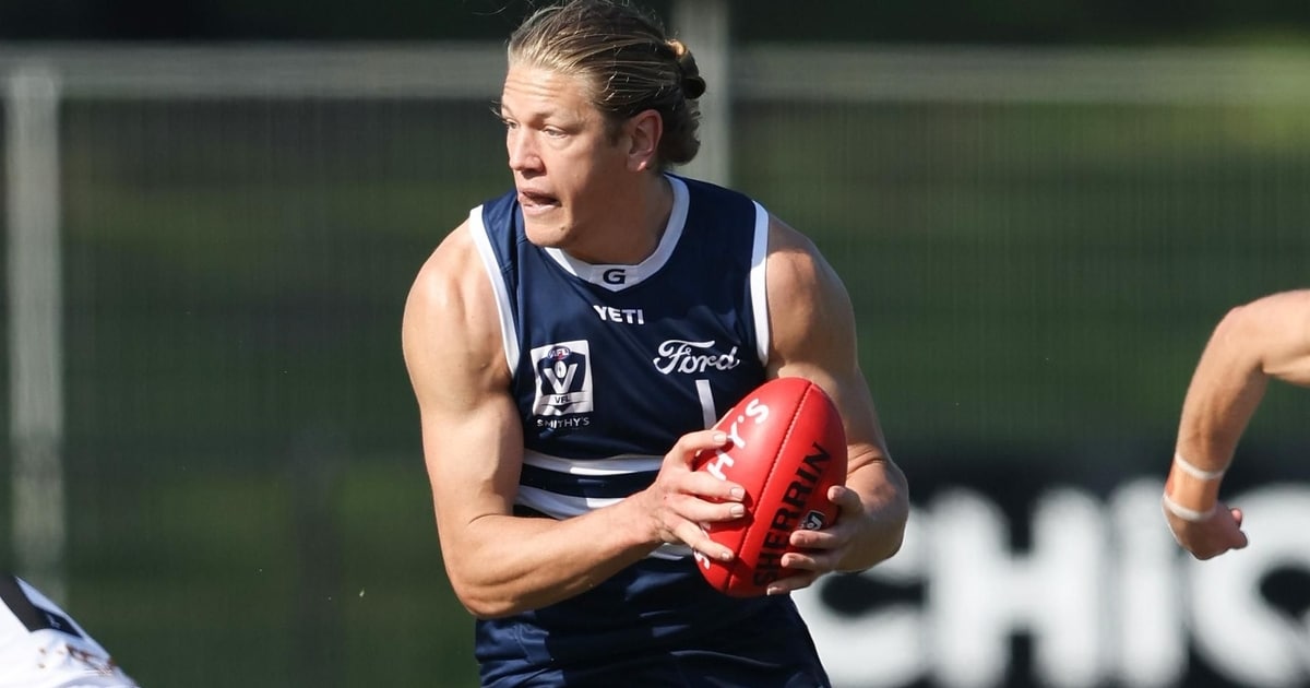 VFL Match Report | Cats Return to Winning Ways Ahead of Finals