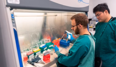 Kids News: Melanoma vaccine and human brain cells powering AI just two big breakthroughs this National Science Week