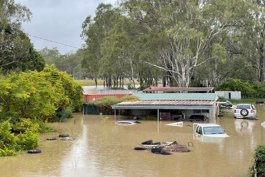 A shed and cars submerged in floodwaters, trees in the background.
