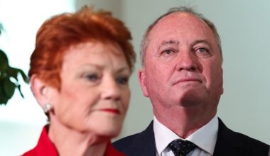 Barnaby Joyce superannuation comments: One Nation claims Labor plan to hike taxes on super