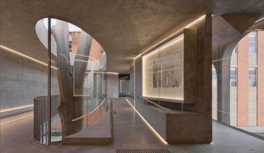 Gallery for a Tree by Farrell Wray