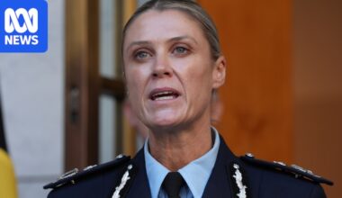 Australian Federal Police charge Russian Australian man with foreign interference offence